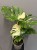 IMG_8146.JPG